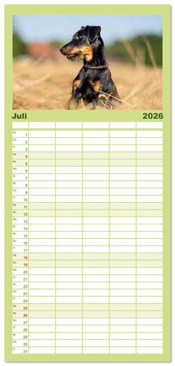 Produktbild: Familienplaner 2026 - Deutscher Terrier - ein leidenschaftlicher J&auml;ger mit 5 Spalten (Wandkalender, 21 x 45 cm) CALVENDO