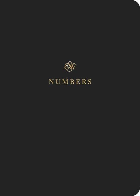 Produktbild: ESV Scripture Journal