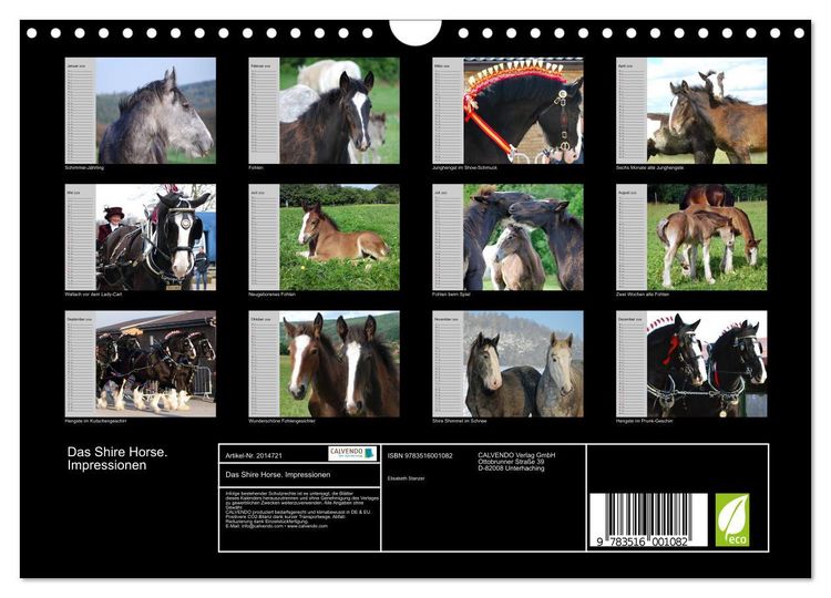 Produktbild: Das Shire Horse. Impressionen (Wandkalender 2026 DIN A4 quer), CALVENDO Monatskalender