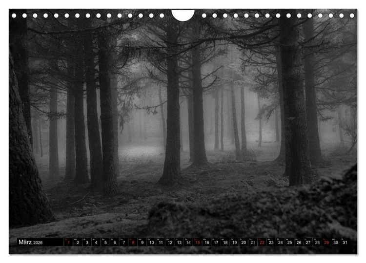 Produktbild: Stille Momente in Schwarz-Weiss (Wandkalender 2026 DIN A4 quer), CALVENDO Monatskalender