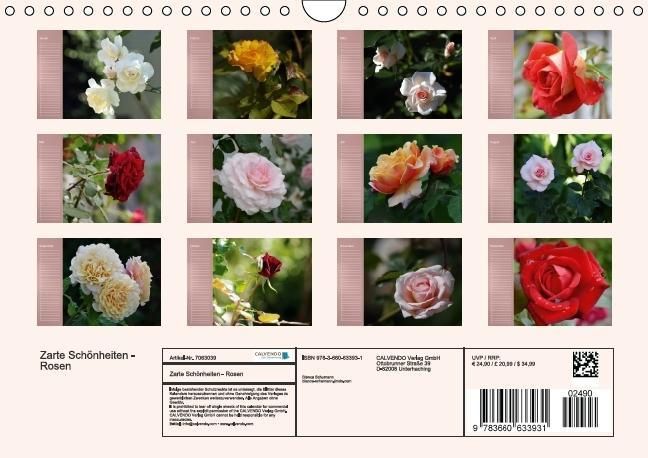 Produktbild: Zarte Sch&ouml;nheiten - Rosen (Wandkalender immerw&auml;hrend DIN A4 quer)