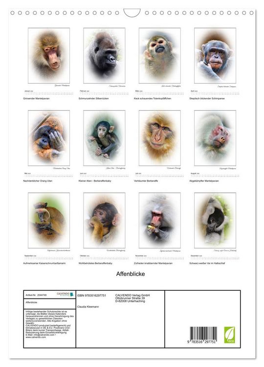 Produktbild: Affenblicke (Wandkalender 2026 DIN A3 hoch), CALVENDO Monatskalender