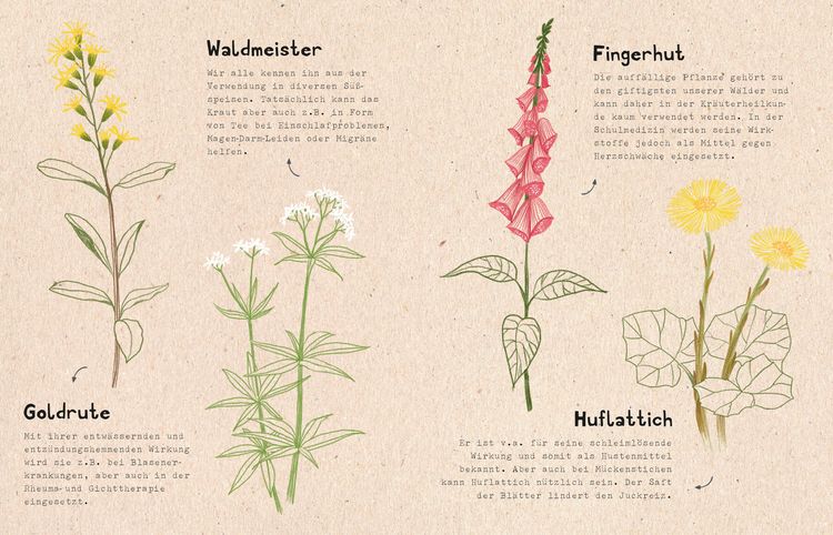 Produktbild: natur-verliebt