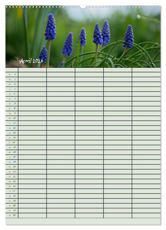 Produktbild: Kleine Natursch&ouml;nheiten (hochwertiger Premium Wandkalender 2026 DIN A2 hoch), Kunstdruck in Hochglanz