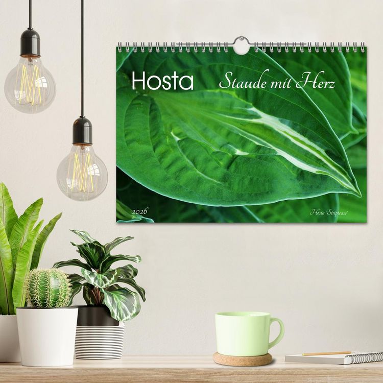 Produktbild: Hosta Staude mit Herz (Wandkalender 2026 DIN A4 quer), CALVENDO Monatskalender