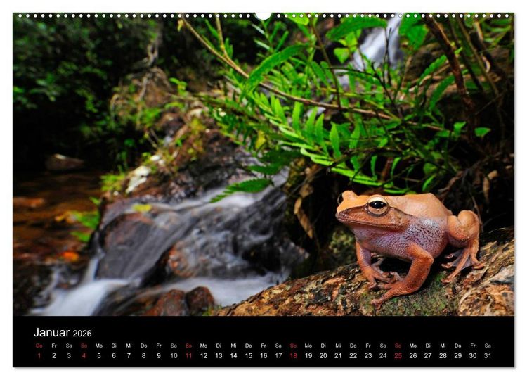Produktbild: Fr&ouml;sche (Wandkalender 2026 DIN A2 quer), CALVENDO Monatskalender