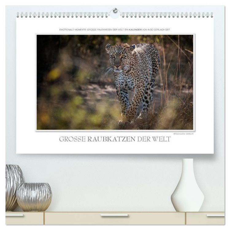 Produktbild: Emotionale Momente: Gro&szlig;e Raubkatzen der Welt. (hochwertiger Premium Wandkalender 2026 DIN A2 quer), Kunstdruck in Hochglanz