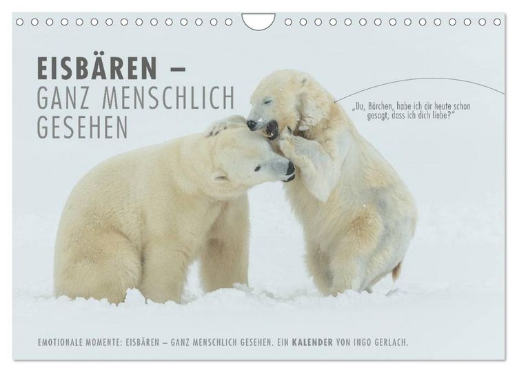 Produktbild: Emotionale Momente: Eisb&auml;ren - ganz menschlich gesehen. (Wandkalender 2026 DIN A4 quer), CALVENDO Monatskalender