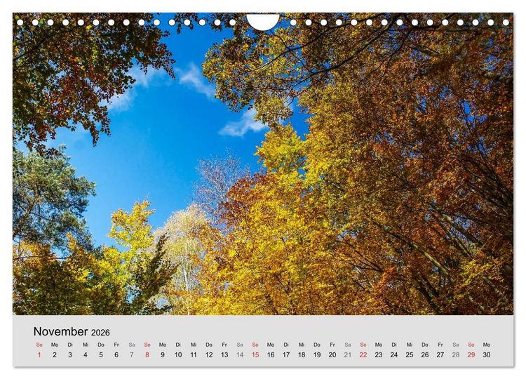 Produktbild: Saarland - unbekannte Sch&ouml;nheit (Wandkalender 2026 DIN A4 quer), CALVENDO Monatskalender