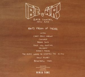 Produktbild: Ants From Up There