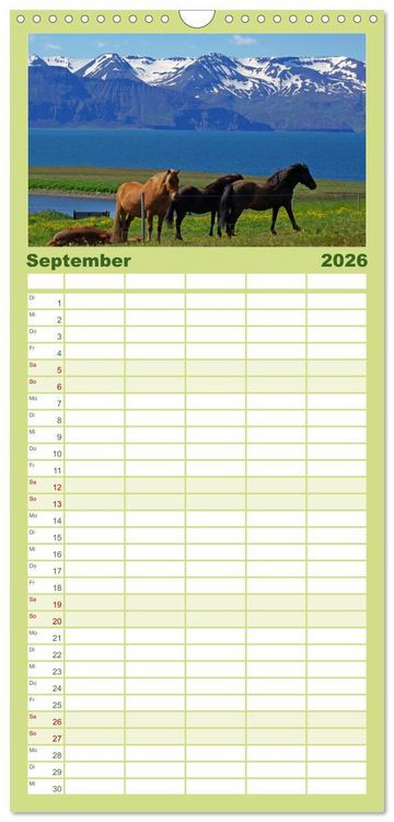 Produktbild: Familienplaner 2026 - Die Pferde Islands mit 5 Spalten (Wandkalender, 21 x 45 cm) CALVENDO