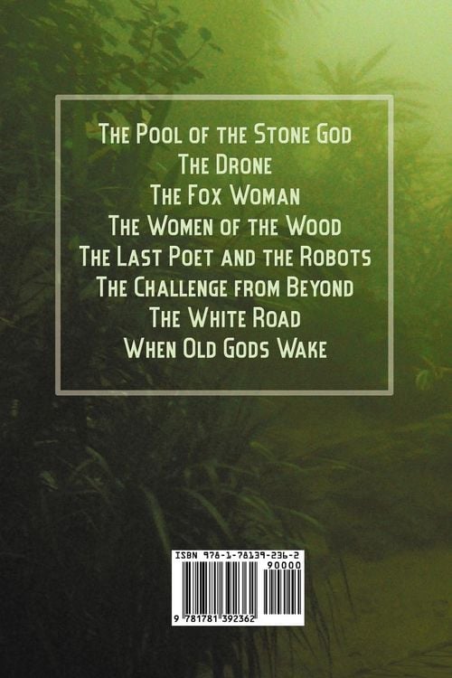 Produktbild: The Pool of the Stone God and Other Tales
