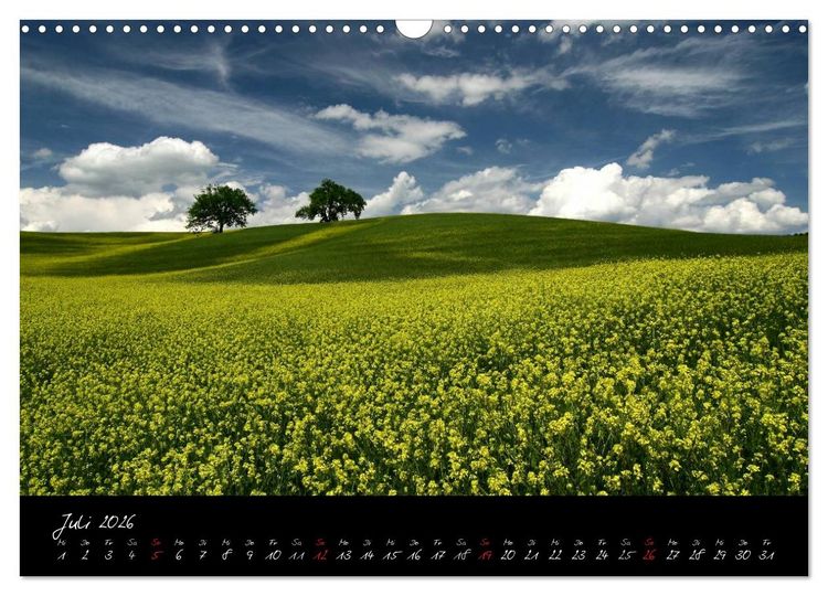 Produktbild: Licht der Toscana (Wandkalender 2026 DIN A3 quer), CALVENDO Monatskalender