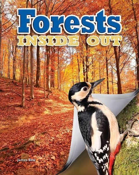 Produktbild: Forests