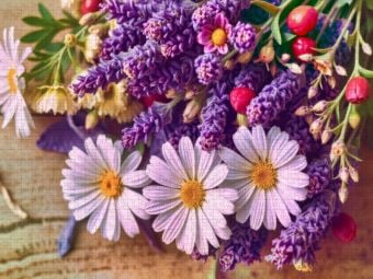 Produktbild: CALVENDO Puzzle Ein Hauch Provence - Lavendel, der verzaubert. | 1000 Teile Lege-Gr&ouml;&szlig;e 64x48cm Foto-Puzzle f&uuml;r gl&uuml;ckliche Stunden