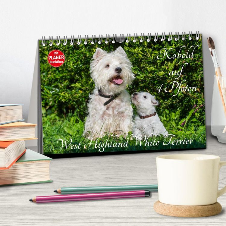 Produktbild: Kobold auf 4 Pfoten - West Highland White Terrier (Tischkalender 2026 DIN A5 quer), CALVENDO Monatskalender