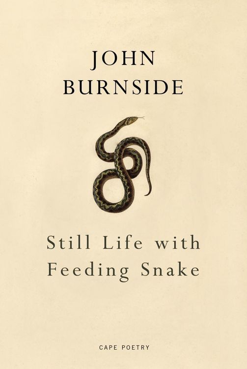 Produktbild: Still Life with Feeding Snake
