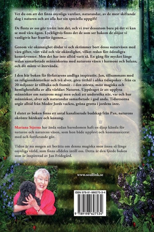 Produktbild: Det Osynliga Folket