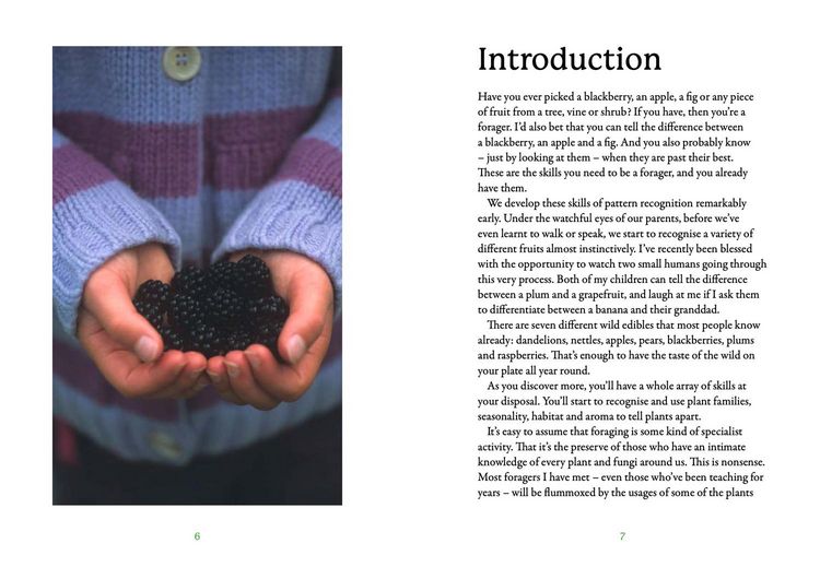 Produktbild: The First-Time Forager