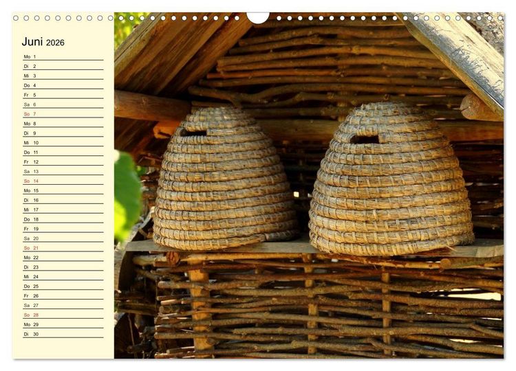 Produktbild: Flei&szlig;ige Bienen. Von der Bl&uuml;te bis zum Honig (Wandkalender 2026 DIN A3 quer), CALVENDO Monatskalender