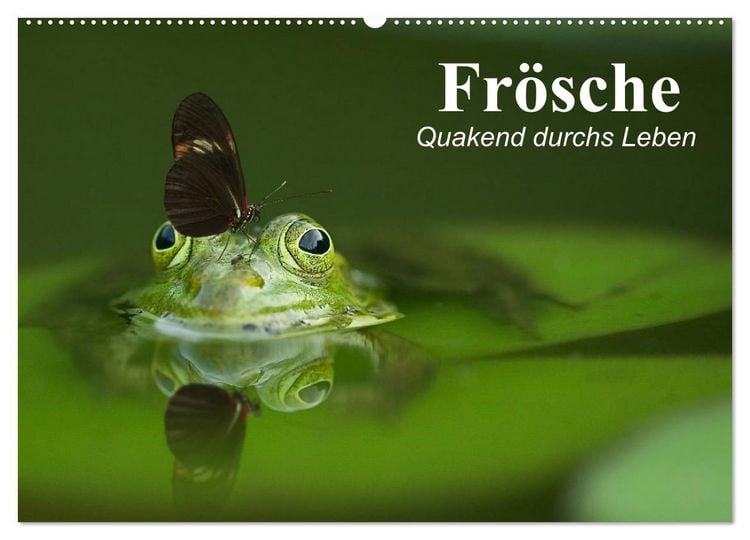 Produktbild: Fr&ouml;sche. Quakend durchs Leben (Wandkalender 2026 DIN A2 quer), CALVENDO Monatskalender