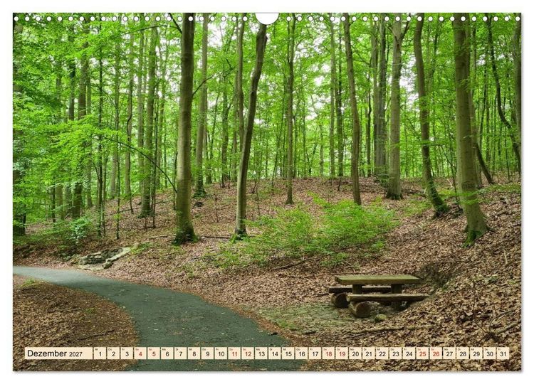 Produktbild: Meditatives Feldberg (Wandkalender 2027 DIN A3 quer), CALVENDO Monatskalender
