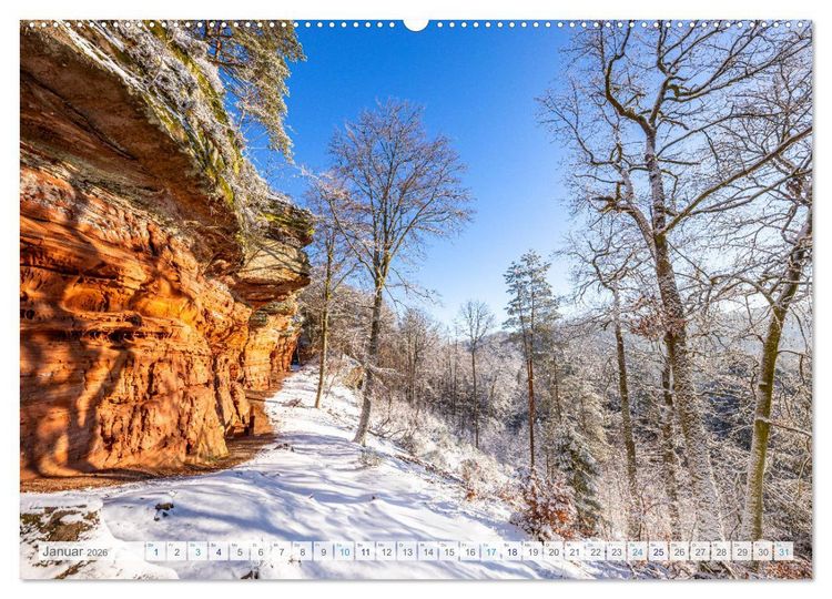 Produktbild: Bunter Pf&auml;lzerwald (Wandkalender 2026 DIN A2 quer), CALVENDO Monatskalender