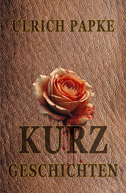 Produktbild: Kurzgeschichten
