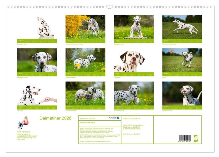 Produktbild: Dalmatiner 2026 (Wandkalender 2026 DIN A2 quer), CALVENDO Monatskalender