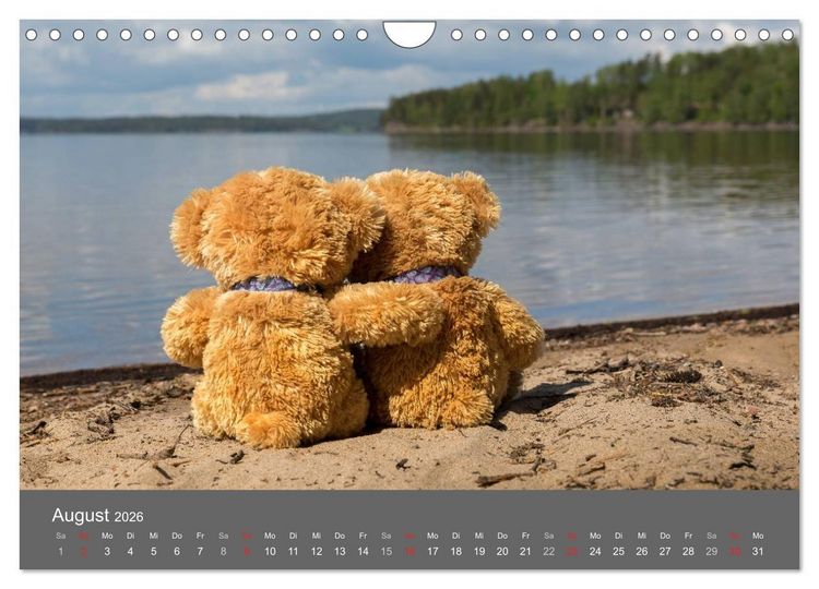 Produktbild: Travelling Teddy 2026 (Wandkalender 2026 DIN A4 quer), CALVENDO Monatskalender