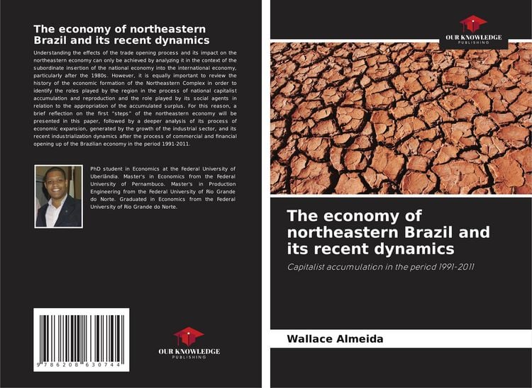 Produktbild: The economy of northeastern Brazil and its recent dynamics