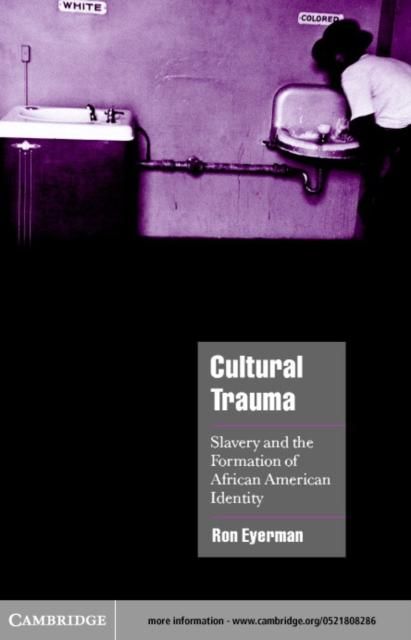 Produktbild: Cultural Trauma