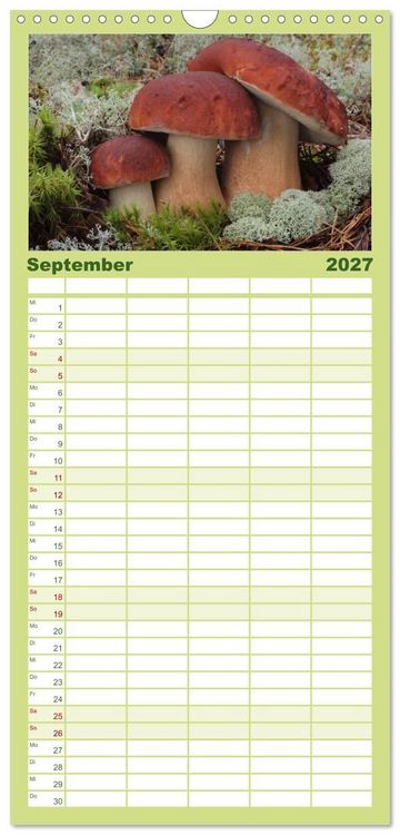 Produktbild: Familienplaner 2027 - Pilze - tolle Funde mit 5 Spalten (Wandkalender, 21 x 45 cm) CALVENDO