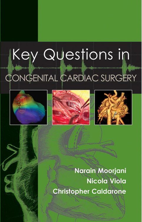 Produktbild: Key Questions in Congenital Cardiac Surgery