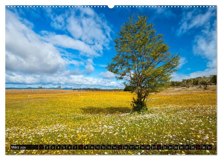 Produktbild: Patagonien und Feuerland (Wandkalender 2026 DIN A2 quer), CALVENDO Monatskalender