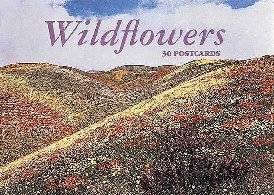 Produktbild: Wildflowers