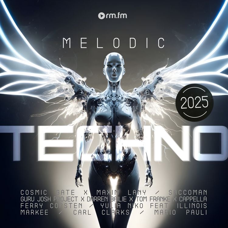 Produktbild: Melodic Techno 2025, 1 Schallplatte