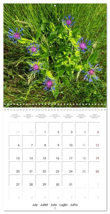 Produktbild: Harmonie Florale Des Pr&eacute;s aux Villes (Calendrier mural carr&eacute; 2026 30x30 cm) Calendrier double avec une page pour vos prises de notes