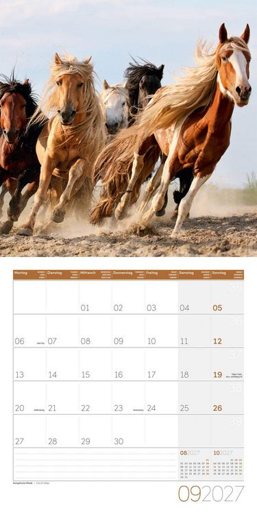 Produktbild: Pferde Kalender 2027 - 30x30 - Art12
