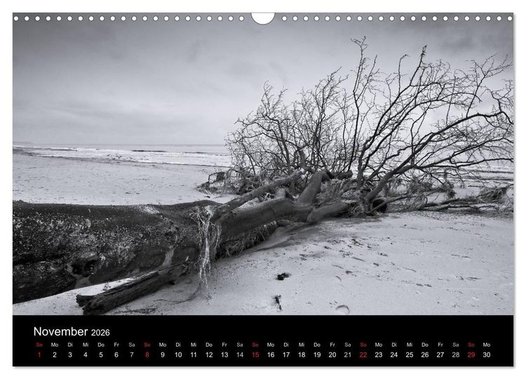 Produktbild: Strandspaziergang an der Ostsee (Wandkalender 2026 DIN A3 quer), CALVENDO Monatskalender