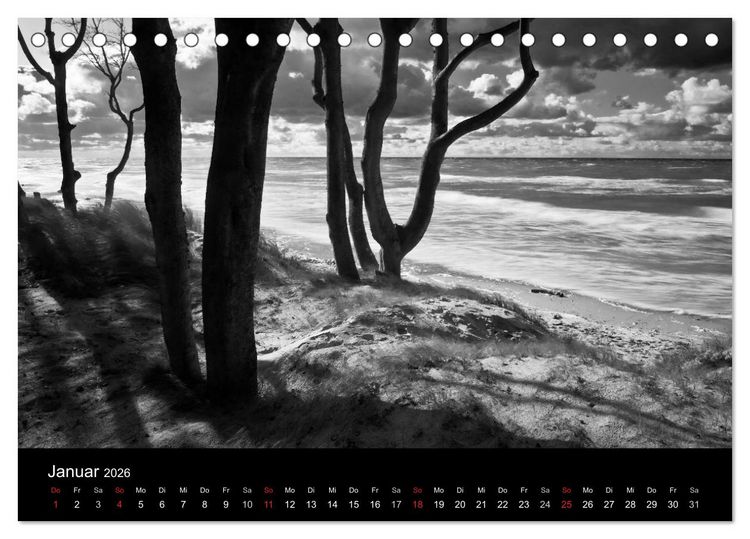 Produktbild: Strandspaziergang an der Ostsee (Tischkalender 2026 DIN A5 quer), CALVENDO Monatskalender