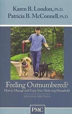 Produktbild: Feeling Outnumbered?