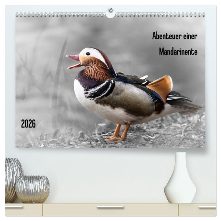 Produktbild: Abenteuer einer Mandarinente (hochwertiger Premium Wandkalender 2026 DIN A2 quer), Kunstdruck in Hochglanz