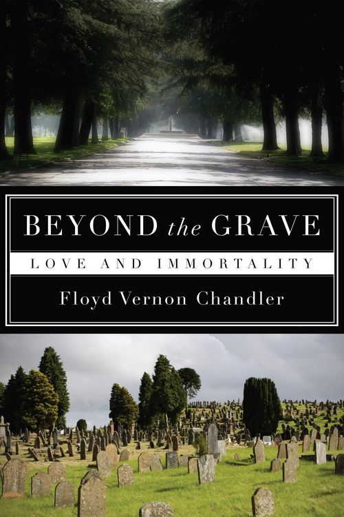 Produktbild: Beyond the Grave