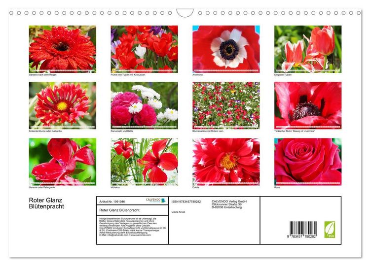 Produktbild: Roter Glanz Bl&uuml;tenpracht (Wandkalender 2026 DIN A3 quer), CALVENDO Monatskalender