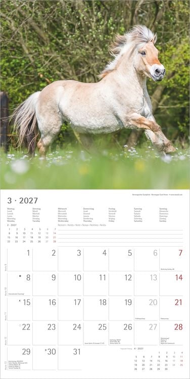 Produktbild: Pferde 2027
