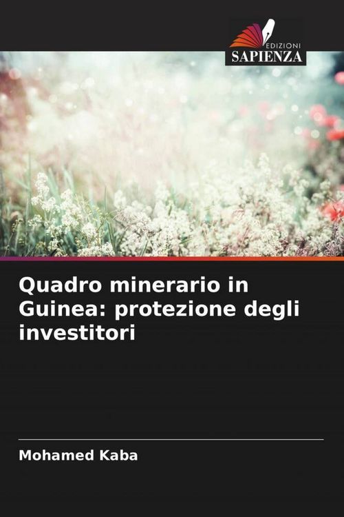 Produktbild: Quadro minerario in Guinea: protezione degli investitori