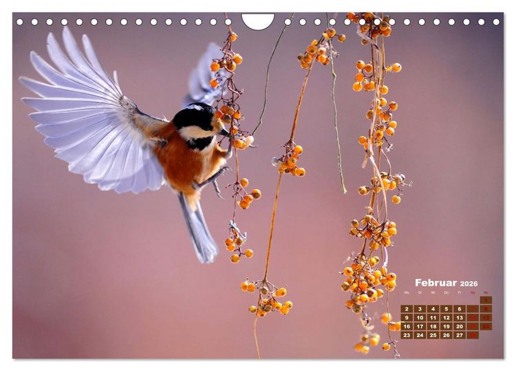 Produktbild: Tiere in freier Wildbahn by VogtArt (Wandkalender 2026 DIN A4 quer), CALVENDO Monatskalender