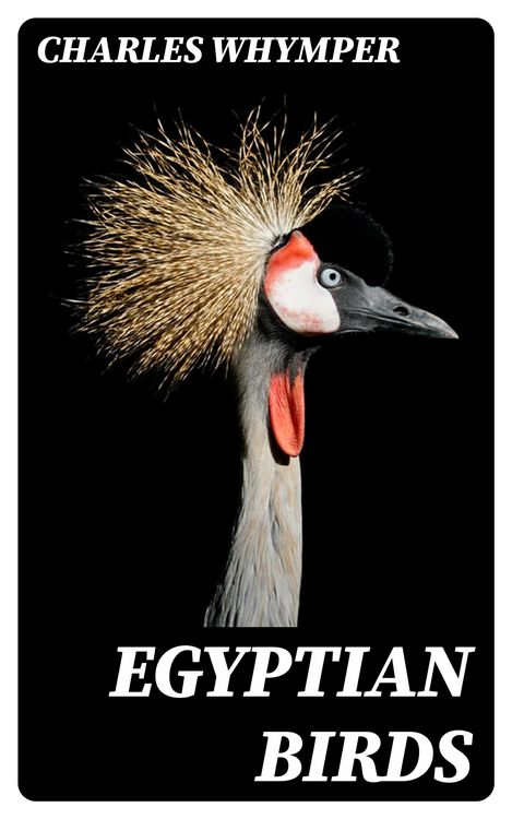 Produktbild: Egyptian Birds