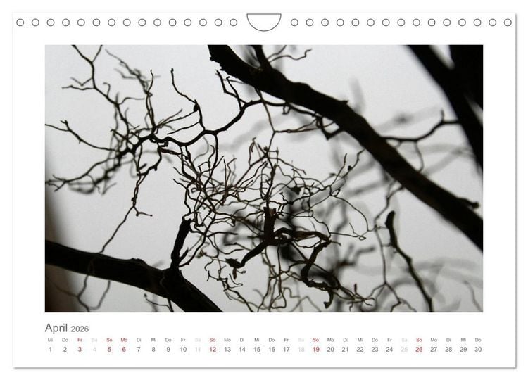 Produktbild: einfach schwarz-wei&szlig; (Wandkalender 2026 DIN A4 quer), CALVENDO Monatskalender